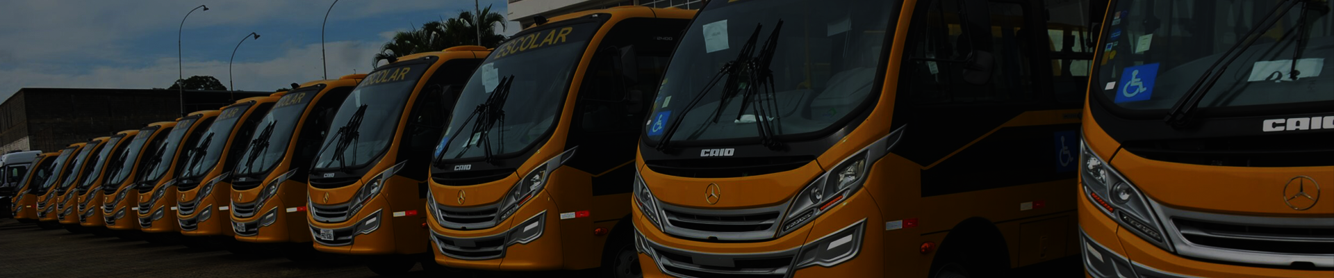 Curso para Monitor de Transporte Escolar